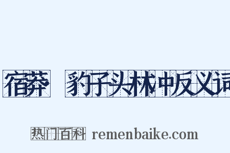 宿莽·豹子头林冲反义词是什么意思的图片